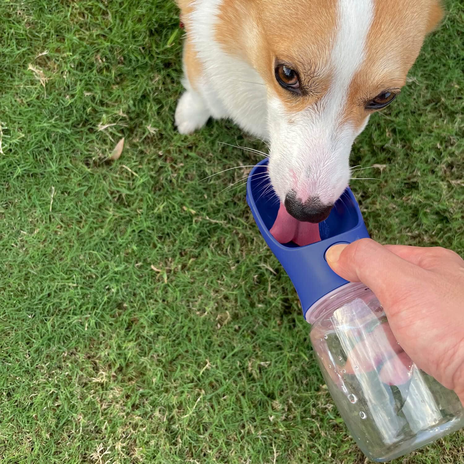 Portable Dog Water Bottle with Food Container, 12 OZ + 6 OZ, Leak Proof Puppy Water Dispenser with Drinking Feeder for Pets Outdoor Walking, Hiking, Travel, Food Grade Plastic